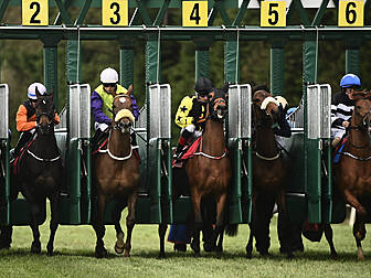 Horse Racing Ireland confirm r...
